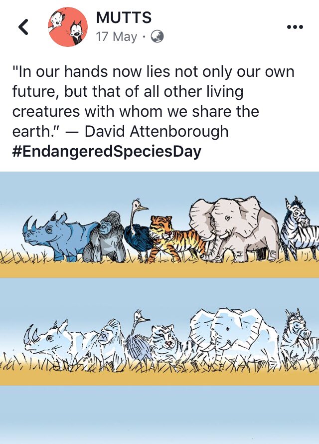 Unlessnowglobal's tweet photo. https://t.co/8svfzV0ixn https://t.co/JdauP82ZPc