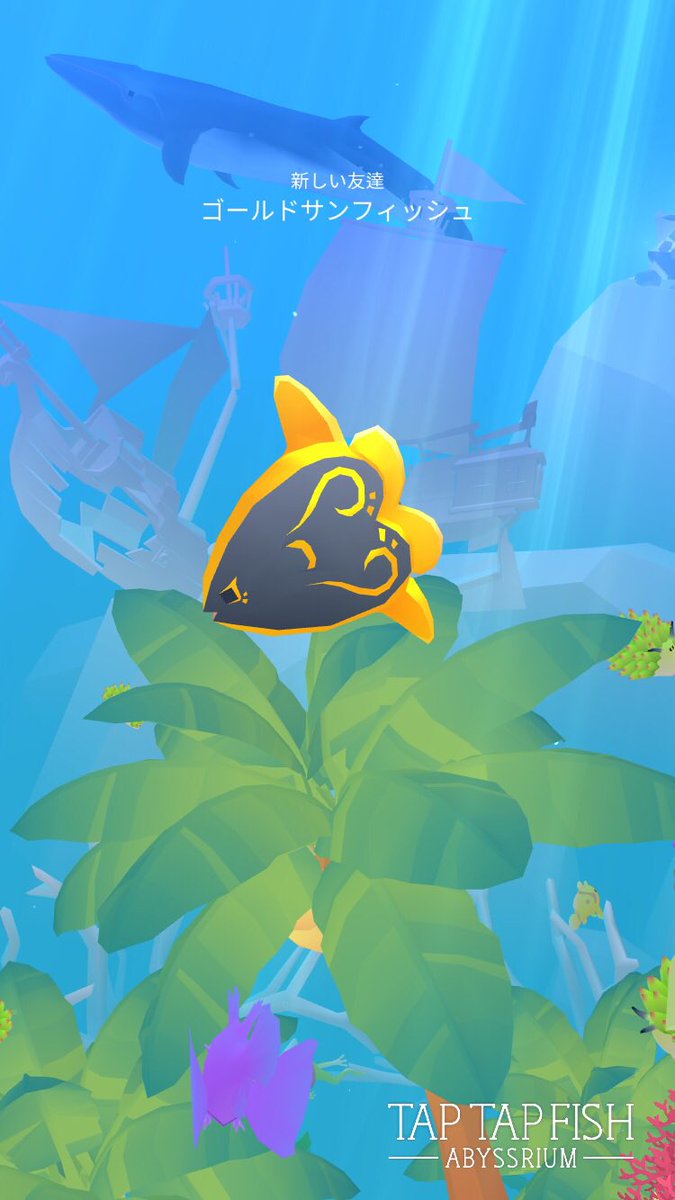 marqun009's tweet photo. 私のゴールドサンフィッシュ:) 
#taptapfish
Download: https://t.co/Slwio83S7T https://t.co/QbvtQFxtvQ