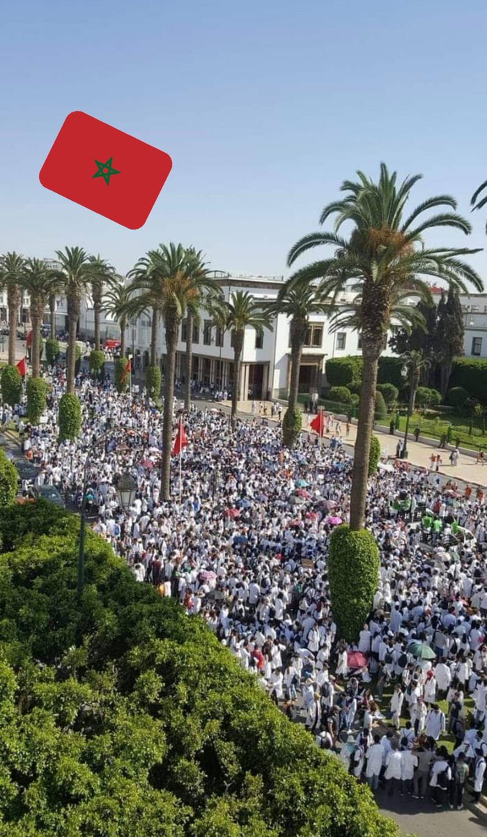 IkramBenabdell2's tweet photo. #DoctorsUnderOppression
Les futurs médecins sont aujourd’hui victimes d’oppressions et d’intimidations de leurs personnes leurs professeurs et toute autre personne exprimant son simple avis envers notre cause Car on est dans un pays où la liberté d’expression est négligée . https://t.co/ZIvBV0MDVB