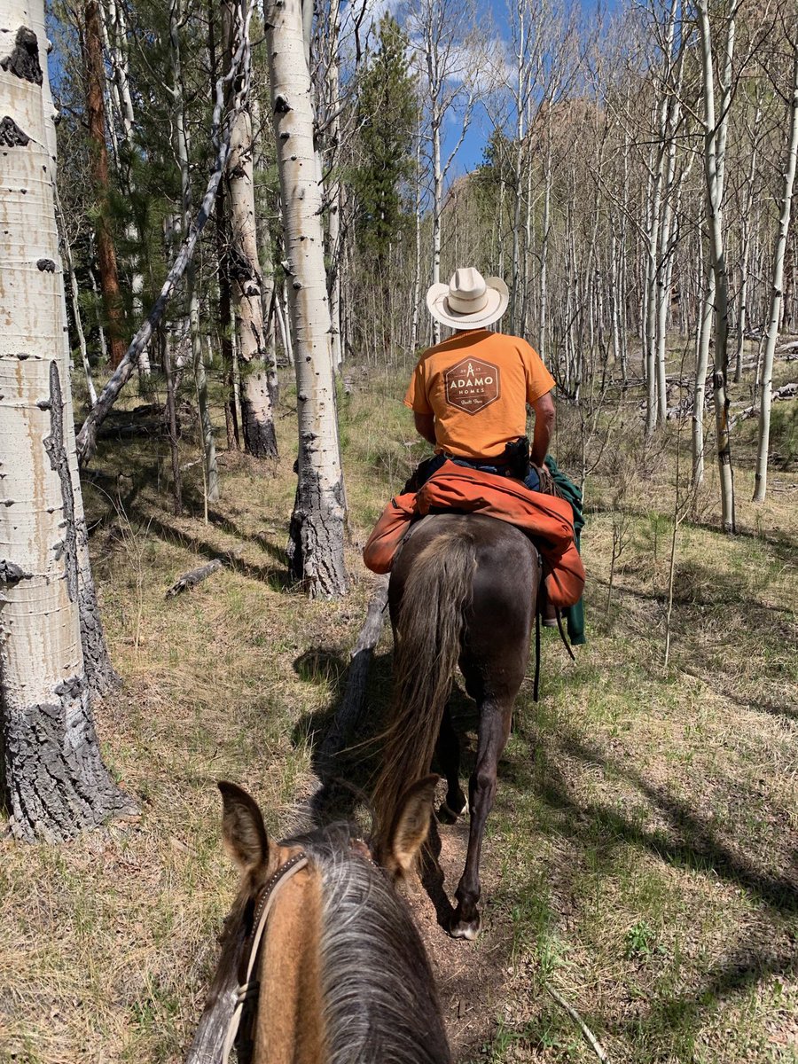 Happy Friday- what do your weekends look like? Adamo team member, Craig Smith enjoys camping and trail riding through the beautiful mountains of Colorado.