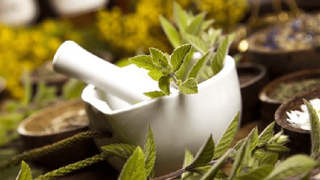 SacCropmobster's tweet photo. Basics of Herbal Medicine https://t.co/am80oNlymS https://t.co/pyt1lo6WhJ