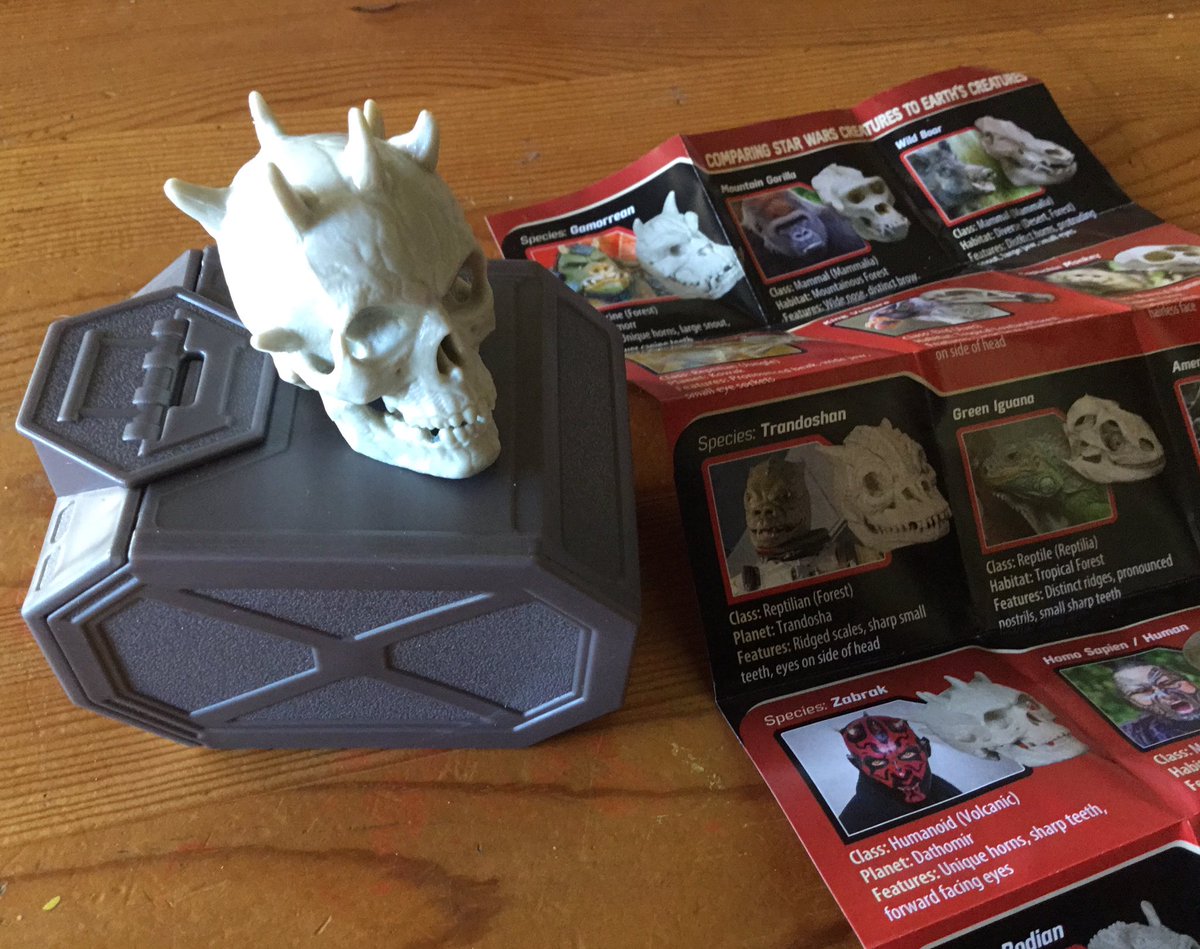 lisathegeekmom's tweet photo. #MakeThings
The #StarWarsScience little paleontology digs are one of the coolest items they’ve come out with.
Plus, the skull of #DarthMaul💀 https://t.co/uUHzA4bgcC