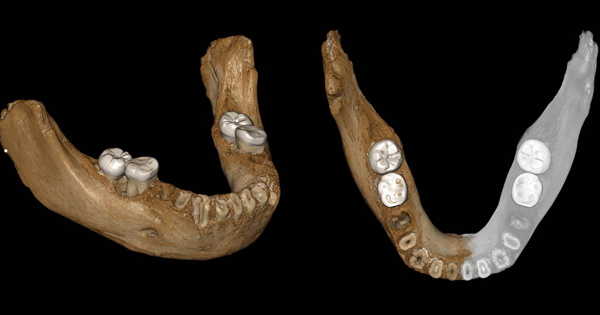 Jawbone fossil from Tibetan plateau sheds light on mysterious Neanderthal kin