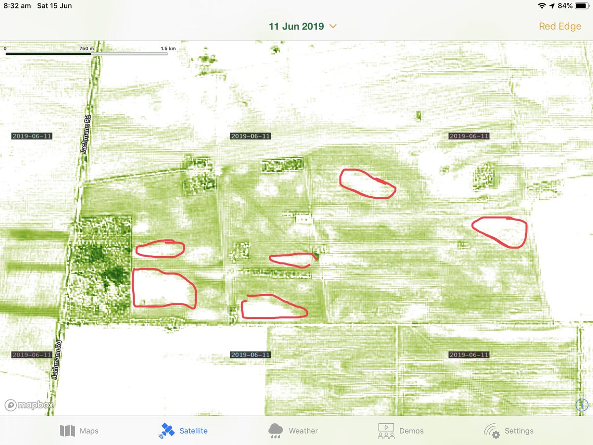With the dry start to the year the restrictive heavier soils are really showing up on NDVI. Cool technology. We will have to use this to refine our prescription zones.