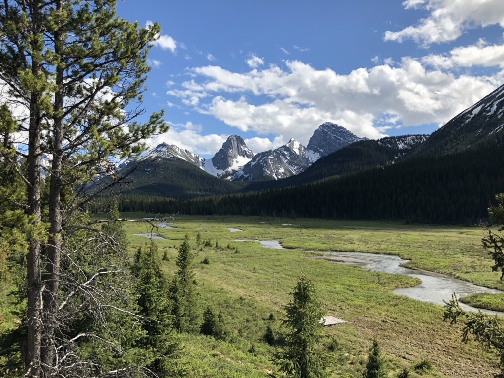 Beautiful start to a belated birthday weekend <a href="/mountengadine/">Mt Engadine Lodge</a>. Absolutely stunning!