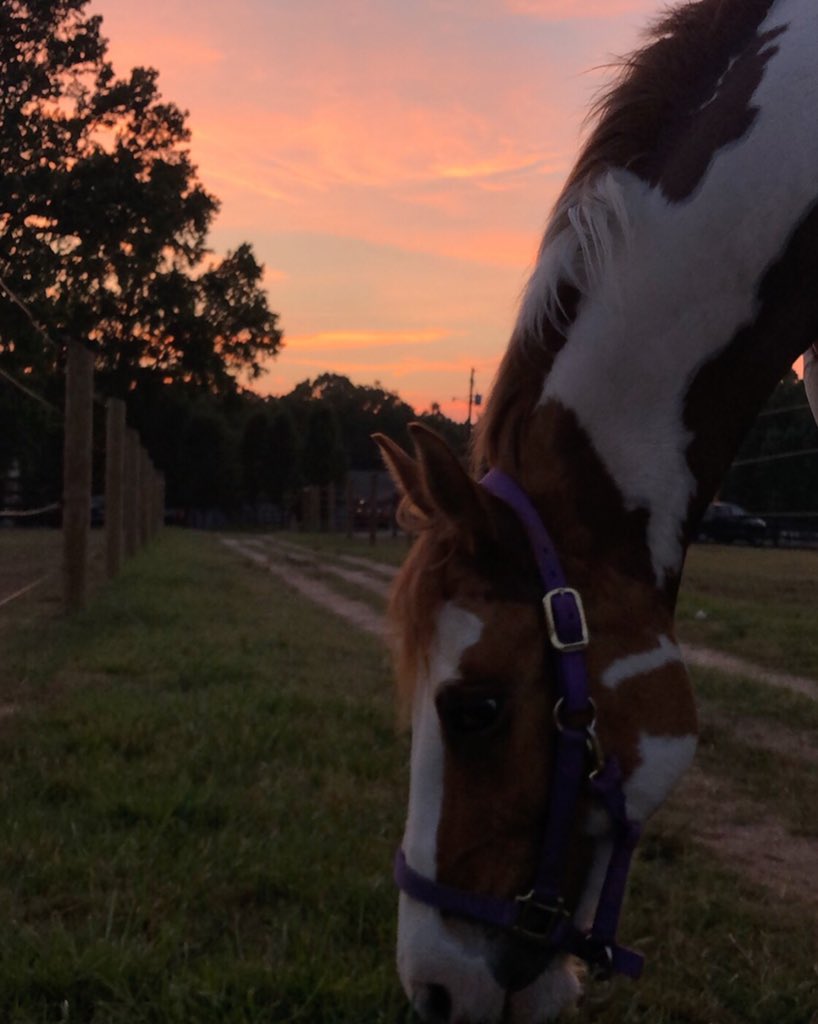 JLHeventing's tweet photo. quick life update: finished my first year of college. Got basically a full time job 12-7 every day. Started riding again. Slowly getting back into the groove:) https://t.co/zYWT9oaId5