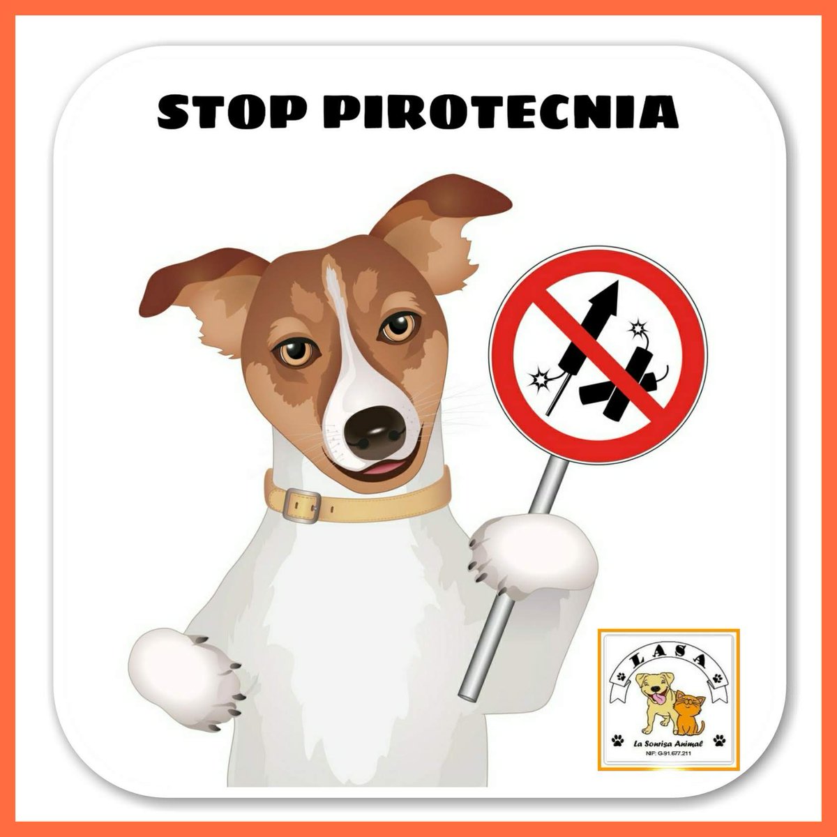 #NoPirotecnia en la #NocheDeSanjuan #Stoppirotecnia
