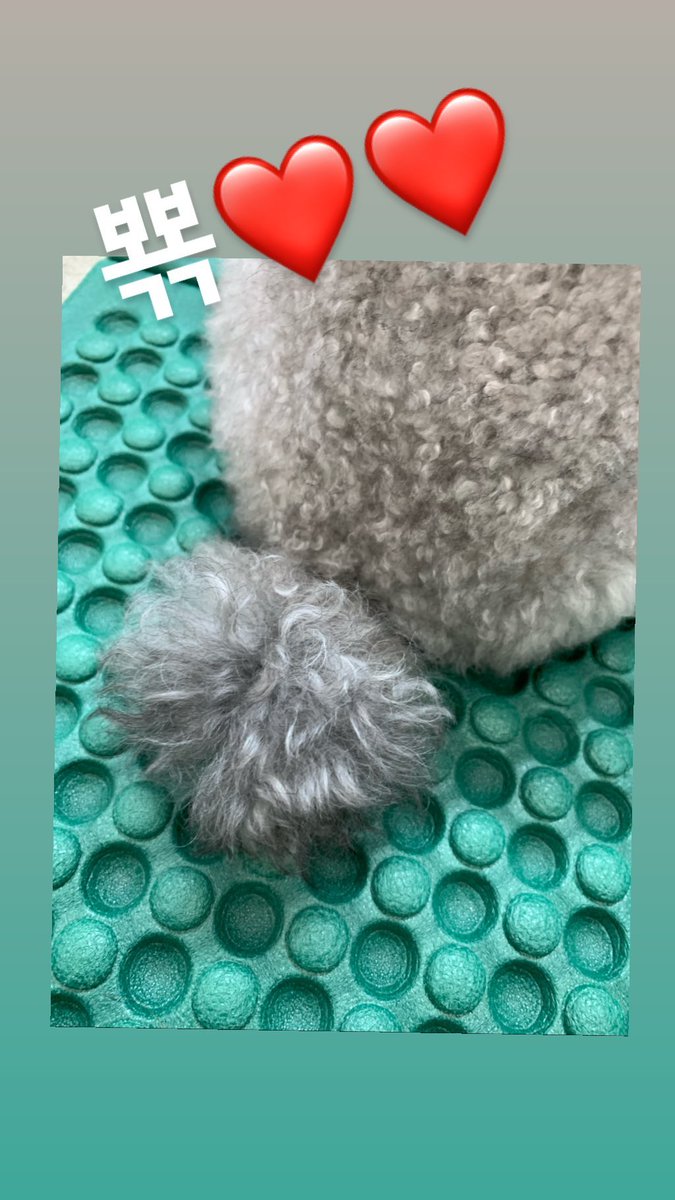 190614 Zero - kimggotbi IG
scontent-yyz1-1.cdninstagram.com/vp/8fb0f26f89f…
scontent-yyz1-1.cdninstagram.com/vp/fb56bfee497…
#Taeyeon #태연 🍑