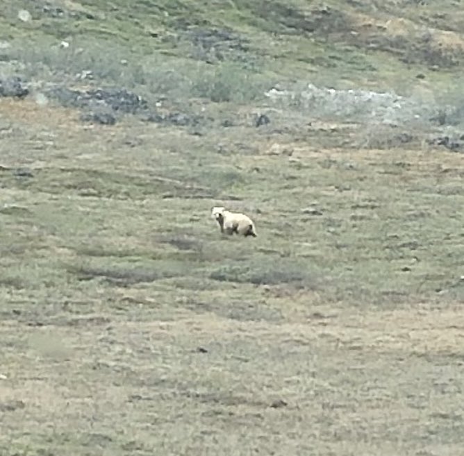 Koong Yi tweet media