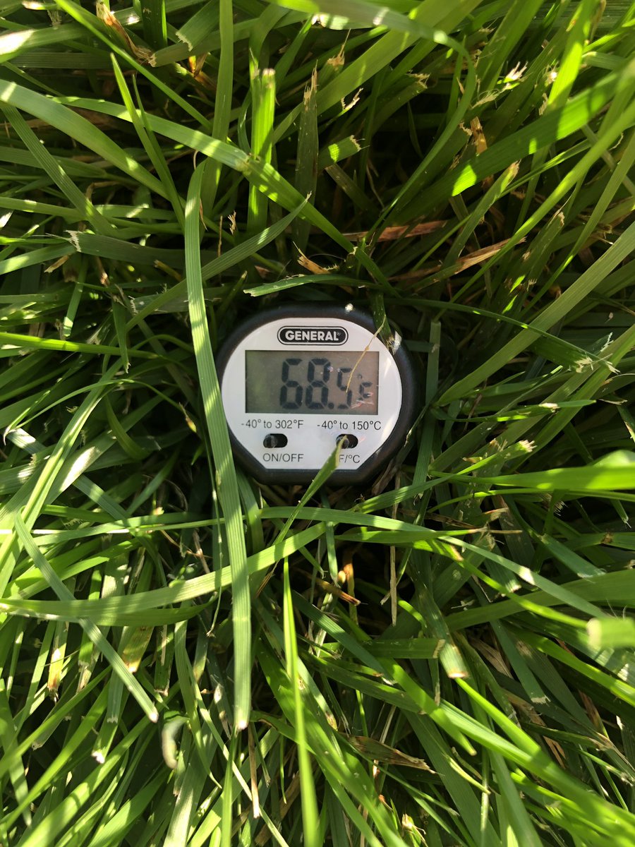 WarrenGawlik's tweet photo. That time of year again...it’s back, hopefully you have your pre-e down. If not you can still get some pull back before tillering. #beaverturf #WEagronomy https://t.co/SGijQ1Nbu9
