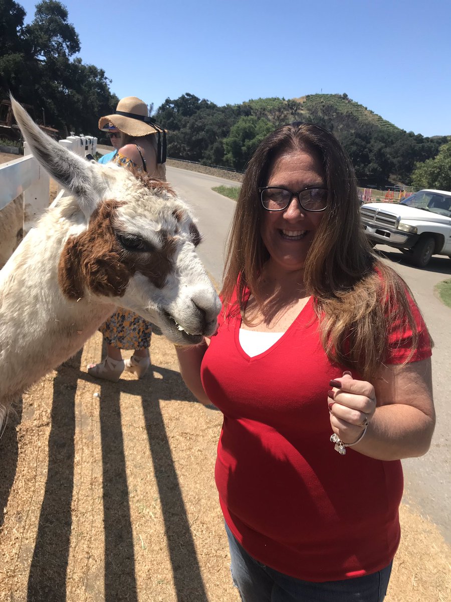 Todd Pitman tweet media