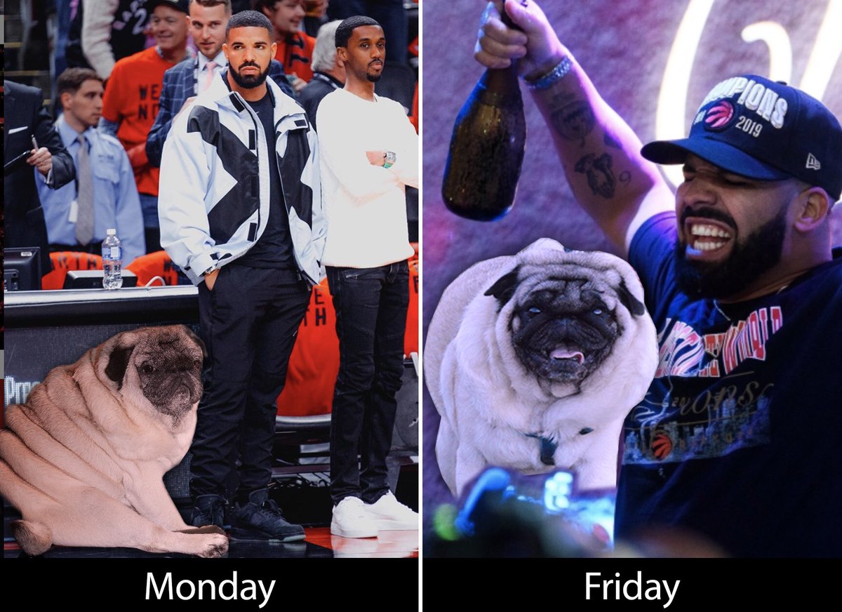 mypugboo's tweet photo. Boo-fore and after #congratsdrake #wethenorth #ohcanada #nba #herefortheboos #tgif #pugsproud_feature #pug #puglife #ballofboo #dotheboo #pugs #smilingpugs #dailyboo #pugbasement #pugworld #barkpost #pugloversclub #9gag #worldofpug #pugsofficial #buzzfeedanimals 

🍀👻 https://t.co/NkTLEGvEN1