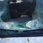 Photo by Columbia County SO (@COSOWI)