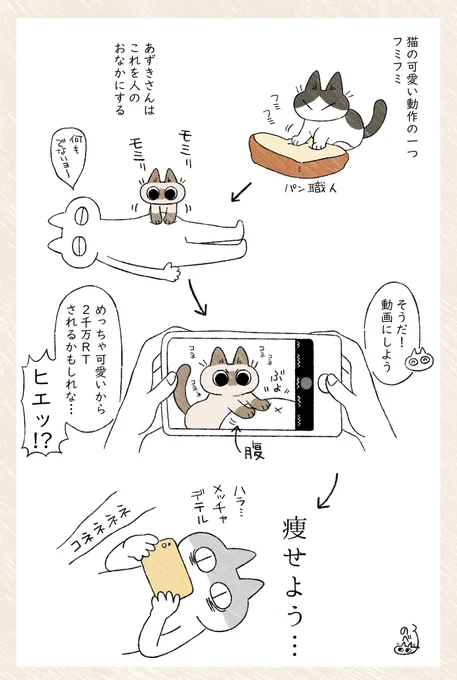 視点が変わると気付くものもある #ねこ日記 