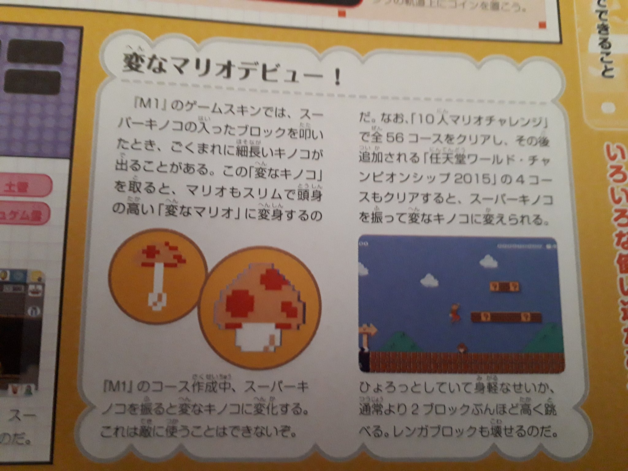 ビームタライ２号 初代マリオメーカーのガイドブックの時点でこう書いてあった あとよくガリガリマリオとか言われるアレは変なマリオ っていう名前だしキノコの方は変なキノコって名前