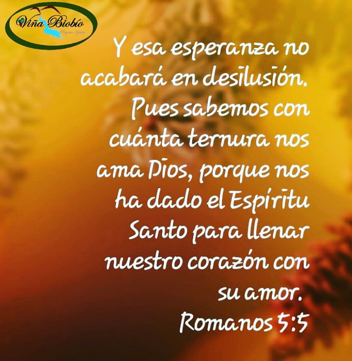 BiobioVina's tweet photo. Poner nuestra esperanza en Dios nos da la seguridad que no seremos defraudados. Tenemos la seguridad de su amor incondicional, porque no espera nada a cambio para amarnos.
En este mundo inconstante podemos poner la mirada en aquel que nos amó sin límites. https://t.co/Jo236dbanL