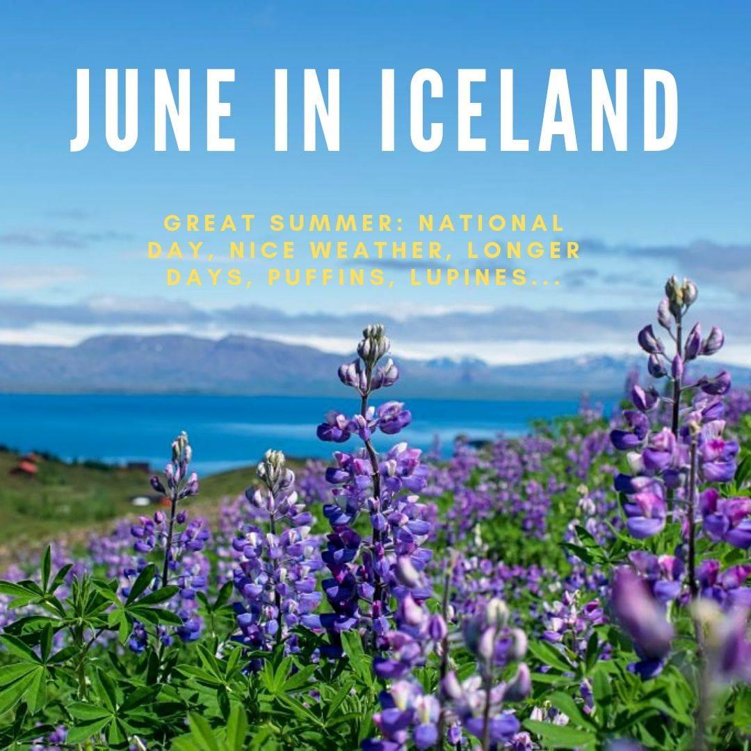 Are you ready? Welcome to visit us 🤗

#loveiceland ✈️
#1sttheworld