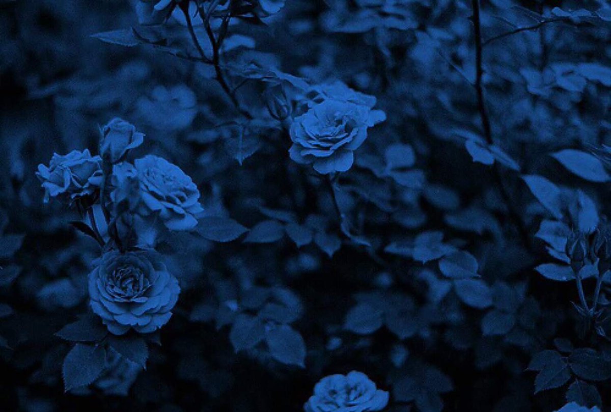 ع (@ichomar_) on Twitter photo 