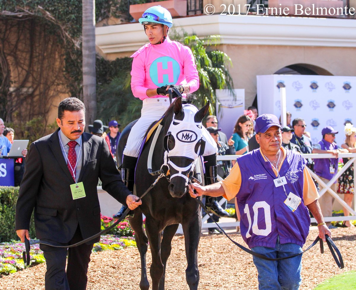 Ernie_Belmonte's tweet photo. Happy retirement to multiple graded stakes winner Hogy. #HanshinCupWinner #KYDownsTurfSprintWinner #CanadianTurfWinner https://t.co/FZxO3ghubt