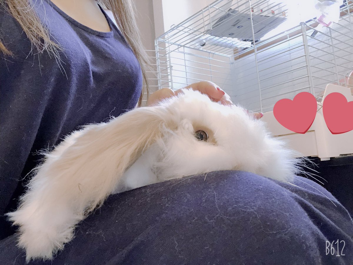 むむとろ 毛だらけだけど膝乗りうゆちゃん これでも体中の毛刈りした 総総 むむとろ 毛だらけだけど膝乗りうゆちゃん これでも体中の毛刈りした 総総
