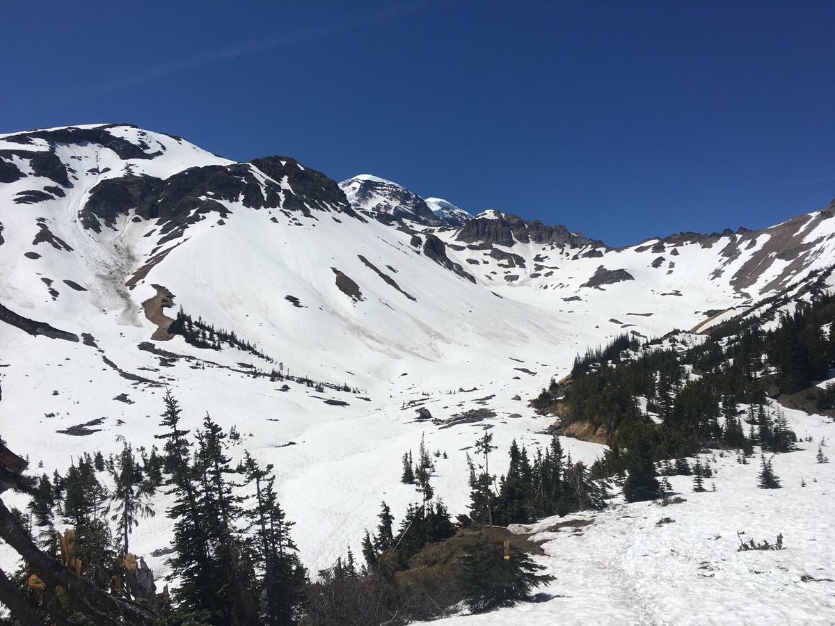 BSanner60's tweet photo. Friday hike to Glacier Basin in Mt Rainier NP.   It was impressive to see so many 20 somethings (mostly guys) packing skis so they can summit Mt Rainier and ski down.  #getoutside https://t.co/DWCCLkSbjn