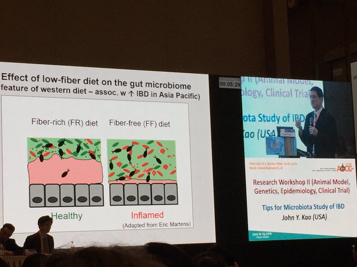 Low fibre diet alters the mucin later by thinning it out = more susceptible to inflammation in mice #ibd #AOCC2019