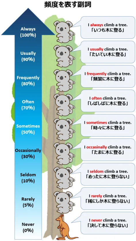 頻度を表す副詞のまとめかたがかわいくてわかりやすい。英語学習者にお役立ち。