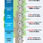 頻度を表す副詞のまとめかたがかわいくてわかりやすい。英語学習者にお役立ち。
