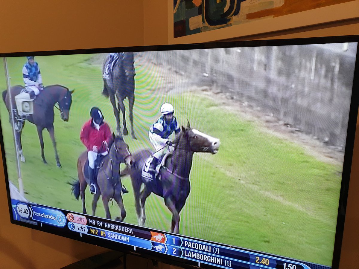 mrjcarternz's tweet photo. @vcarternz yelling at the tv as #reddynamo won #ruakaka ππ @Logan__racing #thoroughbreds #ekraar #divanred great mama! https://t.co/tsFuJAZyI1