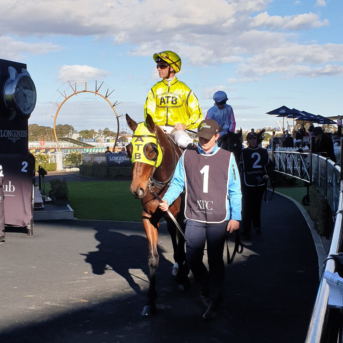 IHOracing's tweet photo. Yogi nice and relaxed before his race. @ATBloodstock Go The Bear. https://t.co/3vHXgiIyAR