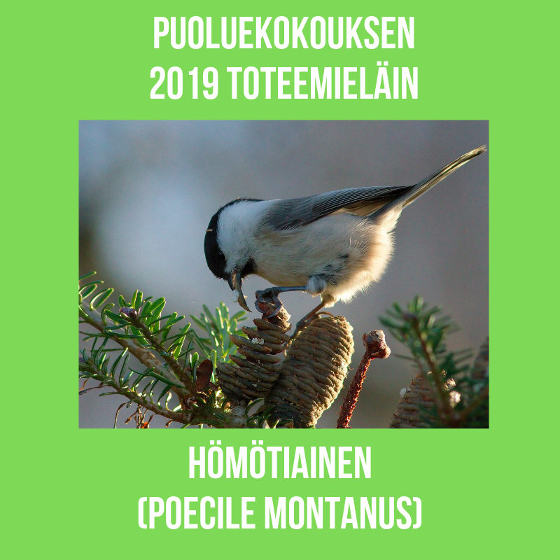TeemuElla's tweet photo. Näin puoluekokous sai oman toteemieläimensä #vihreät #puoluekokous #hömötiainen https://t.co/bGQNuJM5Ui