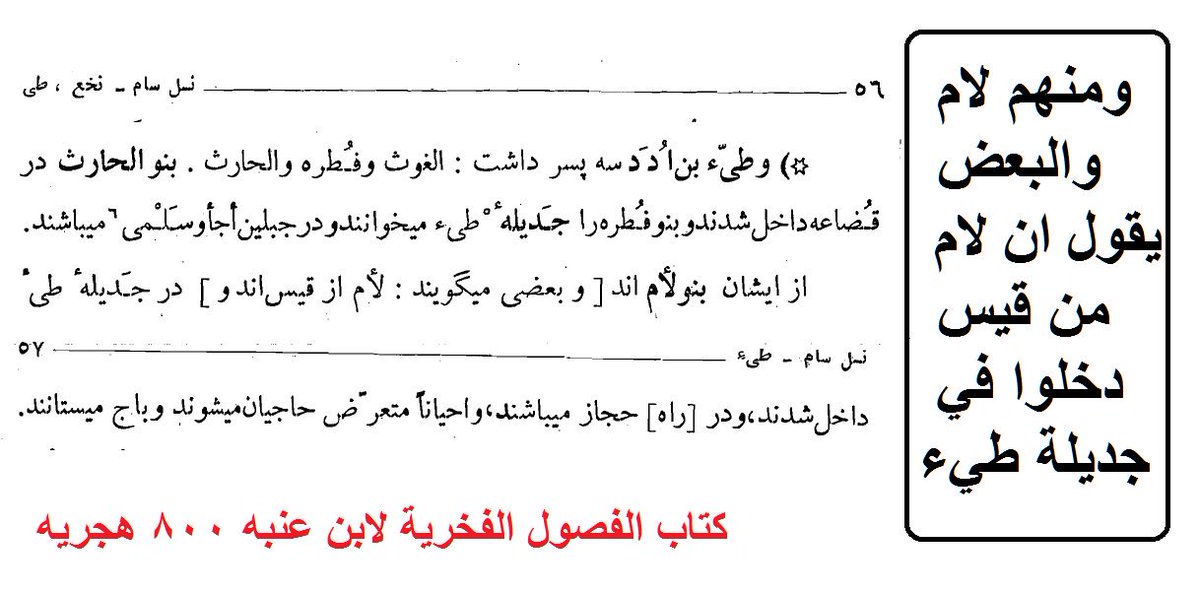 Abu Mohamed Alsardy tweet media