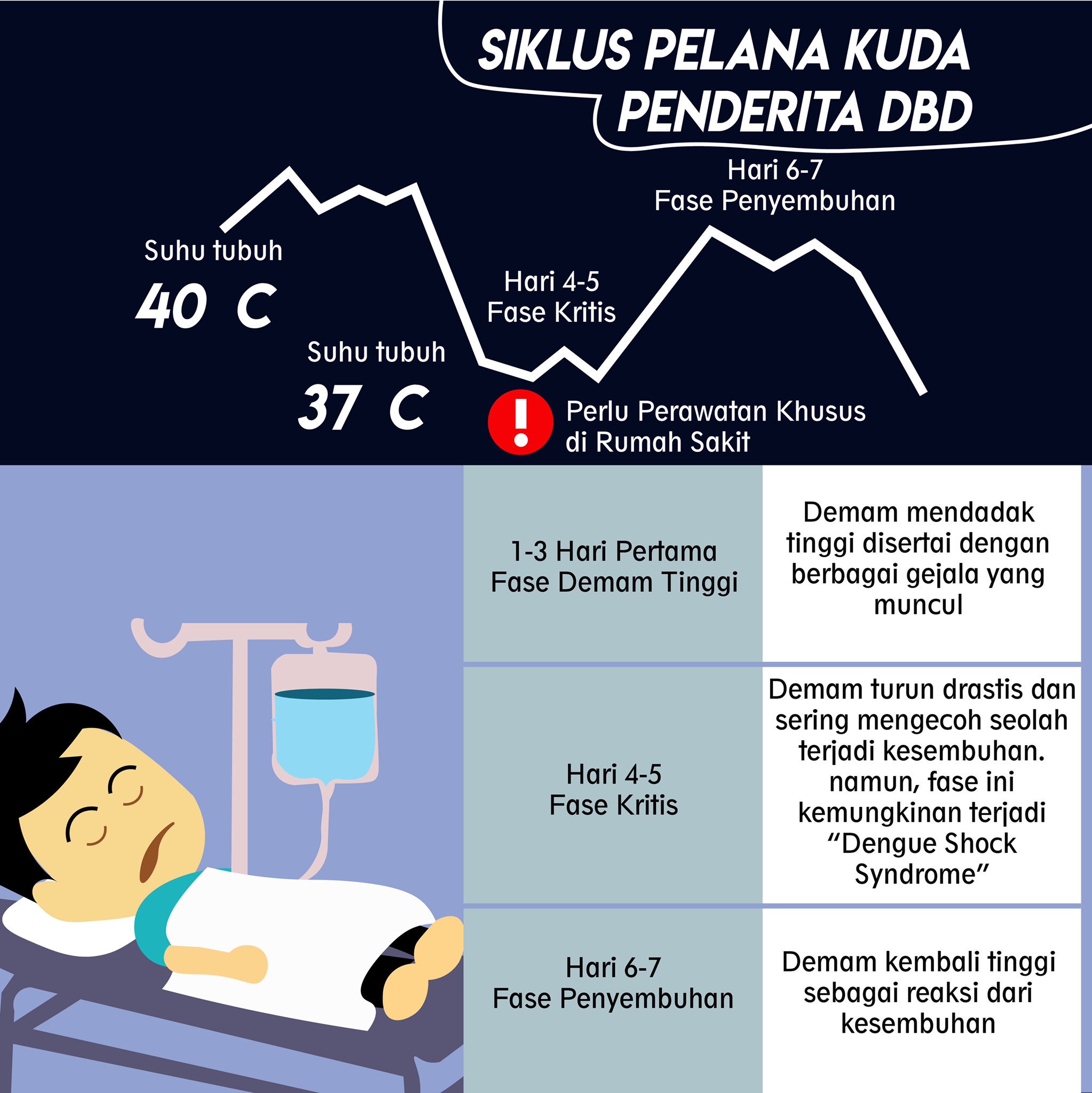 Siklus dbd pada anak