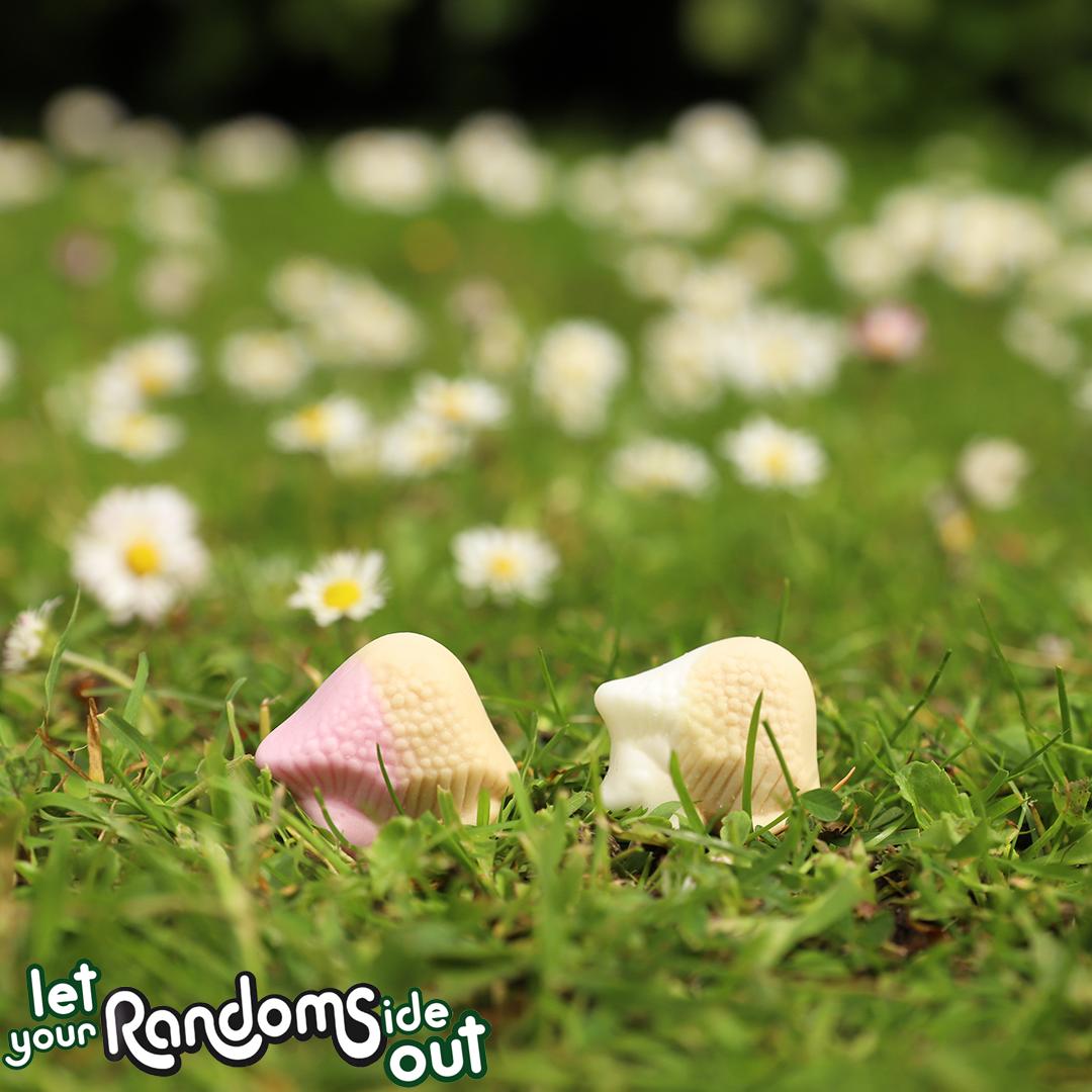 ROWNTREES's tweet photo. Anyone else see something random going on? 🦔 🤔
#myrandomside https://t.co/aHnuP5tO6r
