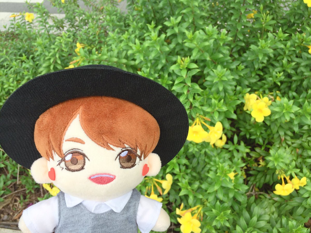 OlaySakura's tweet photo. Pink and Yellow 💖💛💖💛
@HarryVERzi218 Adventures in District 2, Ho Chi Minh, Vietnam 🇻🇳 
#VernonDoll #SeventeenDoll https://t.co/Bckb2aqDBB
