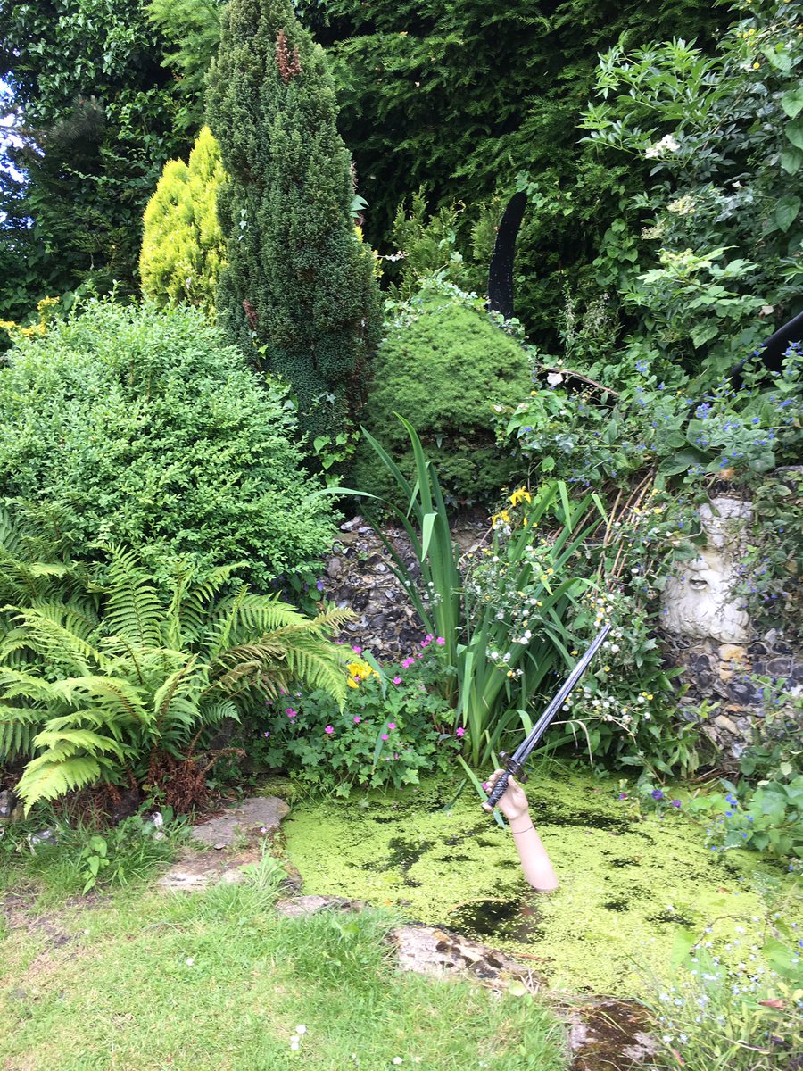 Shoreham Open Gardens Safari tweet media