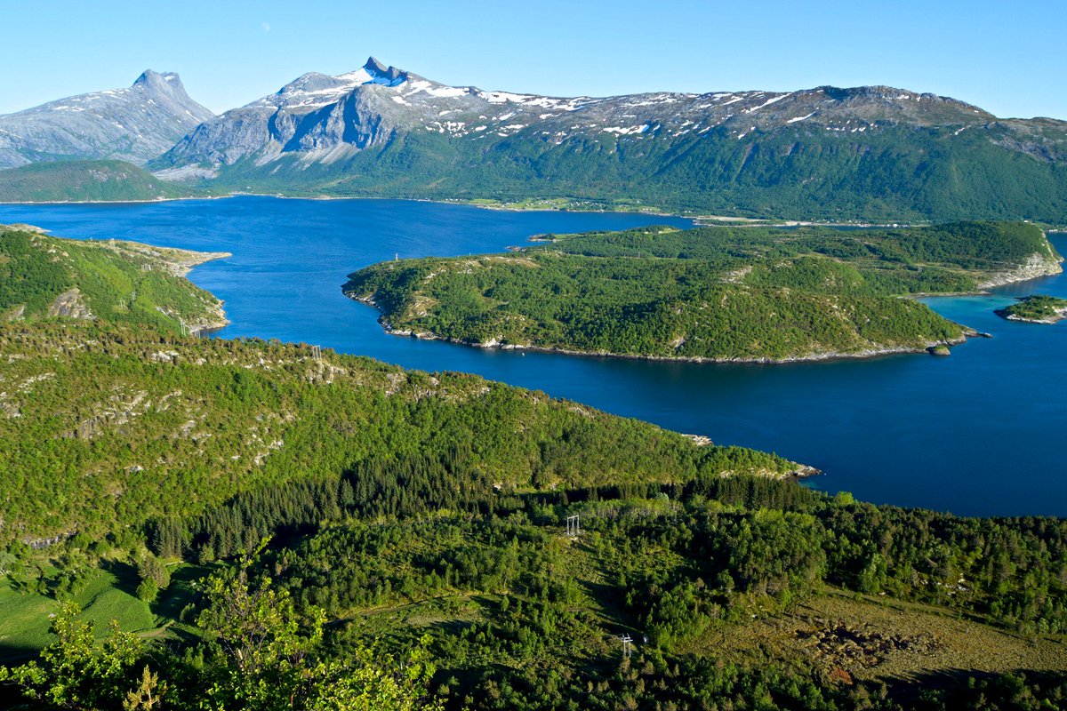 TursidenNO's tweet photo. Forest hike to Høgnakken vantage point on Straumøya in Bodø. https://t.co/8hUa4nJqbL #hiking #bodø https://t.co/X2XJW8gPV3