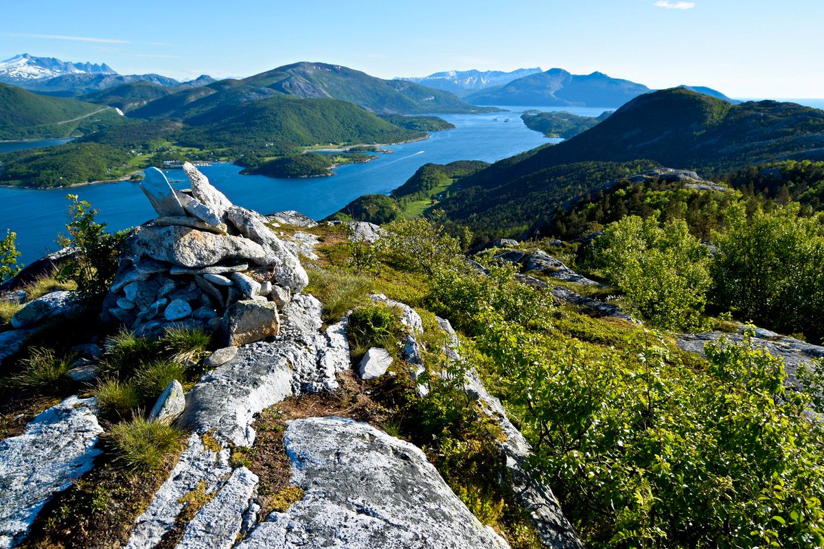 TursidenNO's tweet photo. Forest hike to Høgnakken vantage point on Straumøya in Bodø. https://t.co/8hUa4nJqbL #hiking #bodø https://t.co/X2XJW8gPV3
