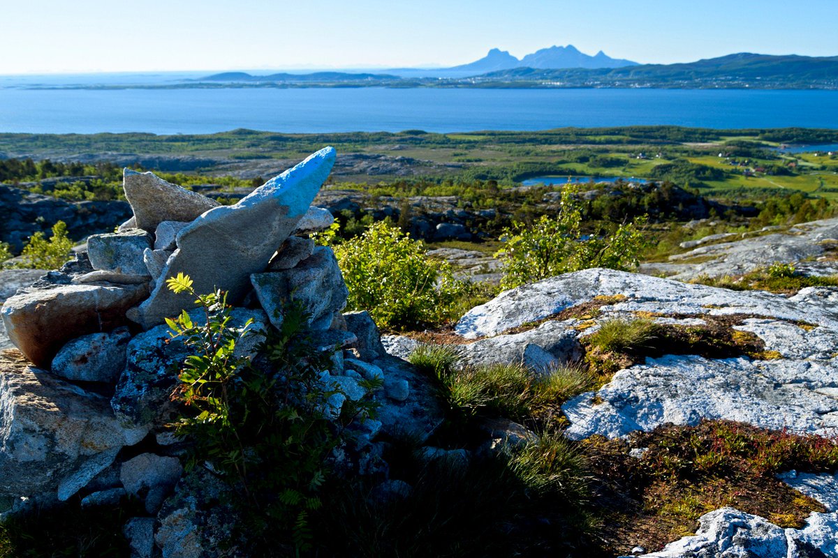 TursidenNO's tweet photo. Forest hike to Høgnakken vantage point on Straumøya in Bodø. https://t.co/8hUa4nJqbL #hiking #bodø https://t.co/X2XJW8gPV3