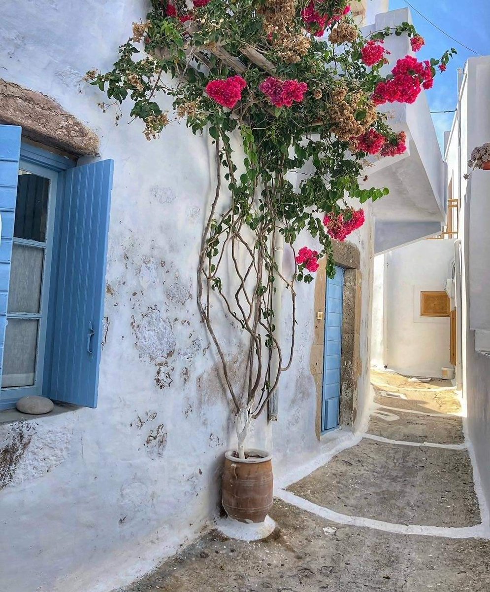 No, it's not an alley from a Greek island, it's a narrow road in #Plaka, the old part of #Athens under the Acropolis.