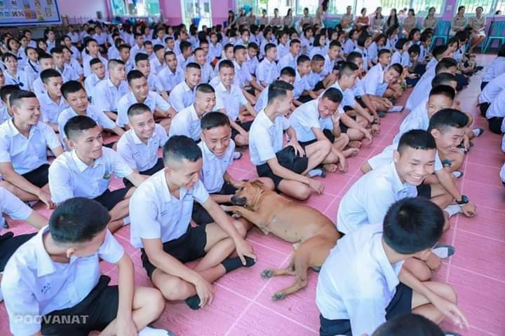 เท็ดเท็ดเท็ดเท็ดเท็ด tweet media