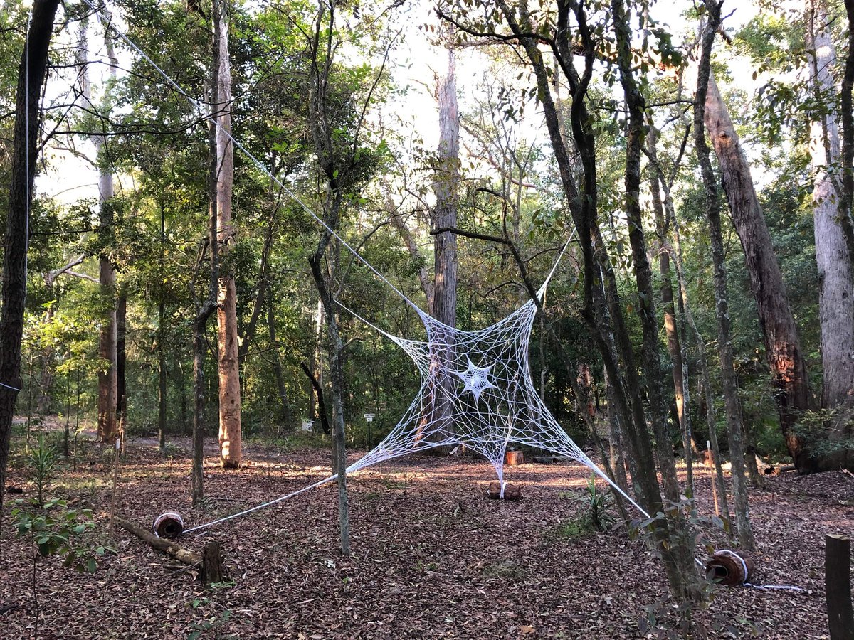 louisamagrics's tweet image. #installation day! #Hyperweb is hanging in the Hunter Valley Botanic Gardens for 'Reponse', a site-specific showcase by Fine #Art staff and #HDR students @Uni_Newcastle. 

Join us for the opening Sat 22nd June 🌱