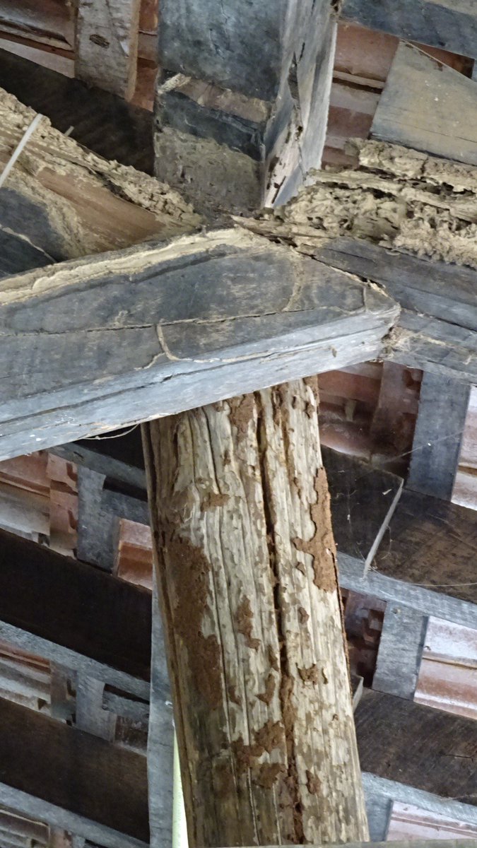 LibraryProject_'s tweet image. This is the current library they have, The roof is unstable and is about to fall on the children's heads.