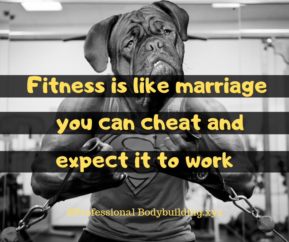 Fitness is like a marriage, you can cheat and expect it to work professionalbodybuilding.xyz/2019/06/fitnes…