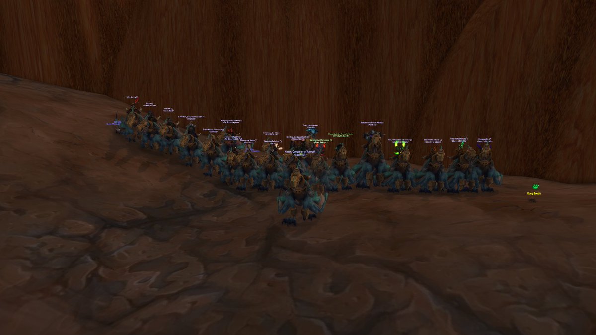 Tsff_Nez's tweet photo. What a fun and great run! We also learned you can have too much dps >.<. We ended up getting 17 new birds out. Cant wait for a new mount to get :P @Warcraft  @theperkypugs https://t.co/bLRZxmHXjO