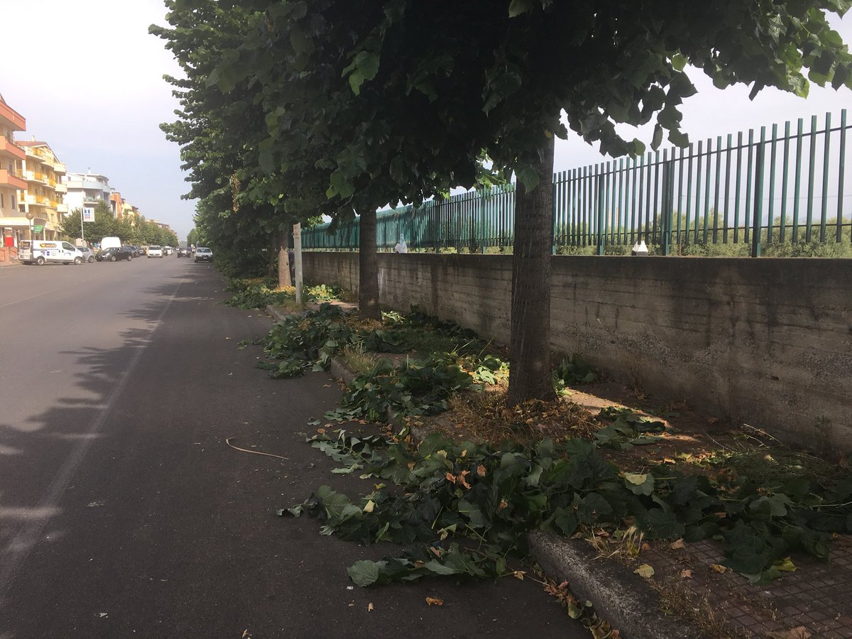CivicaPer's tweet photo. E’ iniziata la pulizia anche su viale dei Normanni presto i cittadini potranno tornare ad usare il marciapiede e a fare le loro passeggiate. 
#stasisindaco #coriglianorossano #coriglianorossanofutura #coriglianorossanopulita #unitiperflaviostasisindaco #cittaincomune #interventi https://t.co/IC8s5sIb3Z