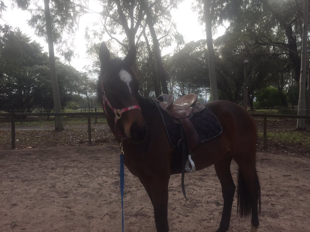 SYR.Eventing tweet media