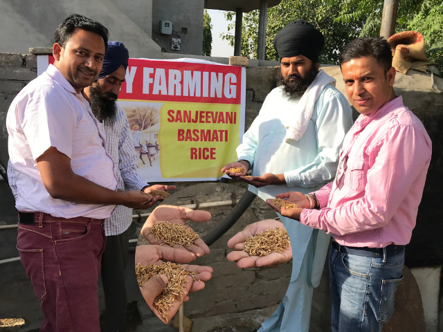 sbasmatirice's tweet photo. Sanjeevani Basmati Rice Project Farming With Controlled Usage of Pesticides So That Residual Level Will Be Under The Approved Limit of US FDA and European Union Standards.  https://t.co/GJPrMPOFc7 

#SanjeevaniBasmatiRice #PaddyFarming #ProjectFarming #ControlledPesticides #USFDA https://t.co/doD71XaHHb