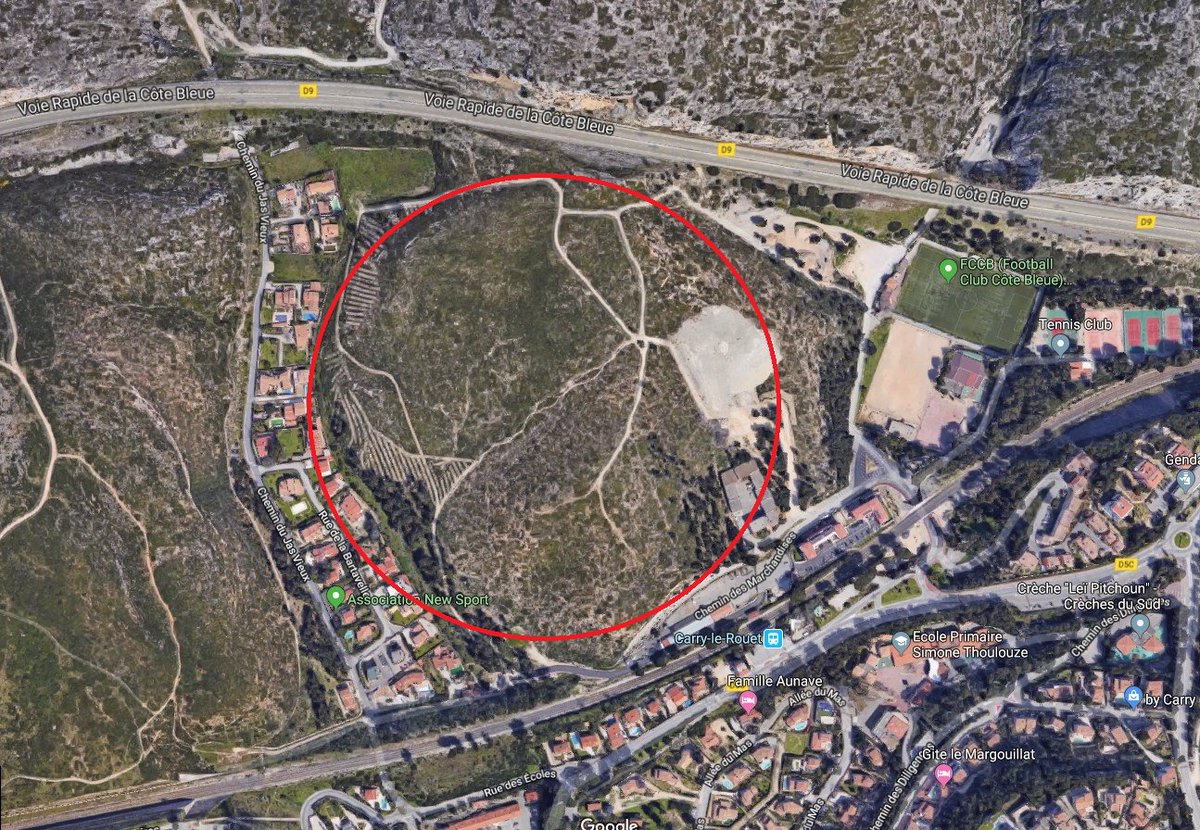 DavidLaMars's tweet photo. A Carry-le-Rouet (13), avec un PLU modifié sur mesure, un lotissement de 26 villas va pousser sur ce qui avait été une forêt de pins sur 2,3ha. C'est donc une légende qu'on ne puisse construire après un incendie (2009) qui plus est criminel ? #CôteBleue https://t.co/ZZ2skDSkyC