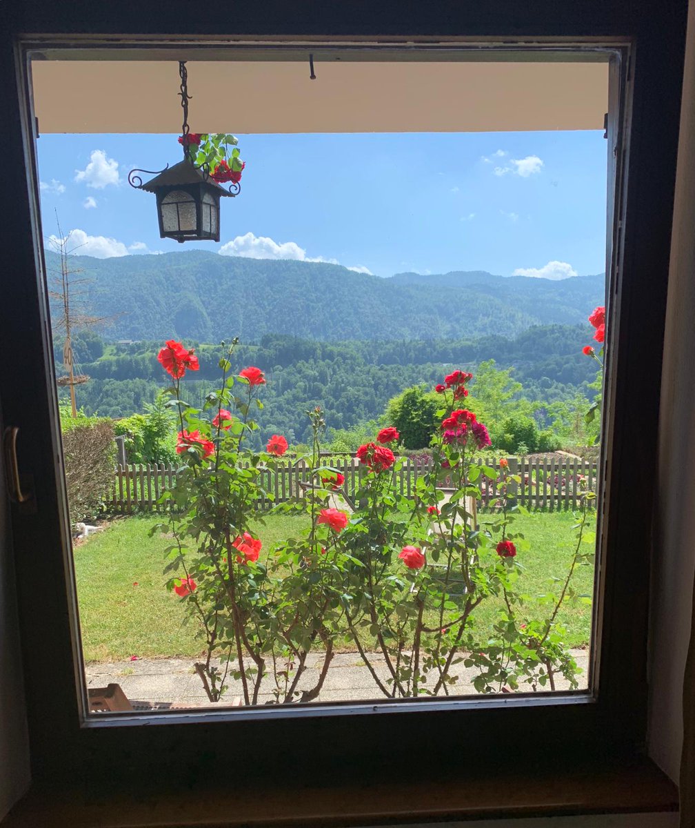 kunstelj's tweet photo. When you book a room at #Kunstelj, this is what you see in the morning. https://t.co/wvzIrEKmO7 #wonderfulday #weekendvibes https://t.co/3pb1LNkUs6